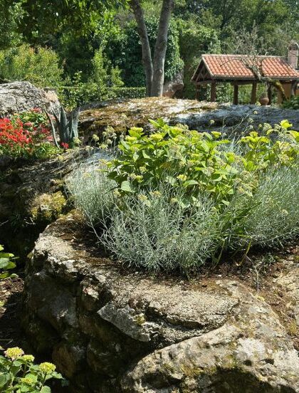 Manutenzione Verde Privato-1